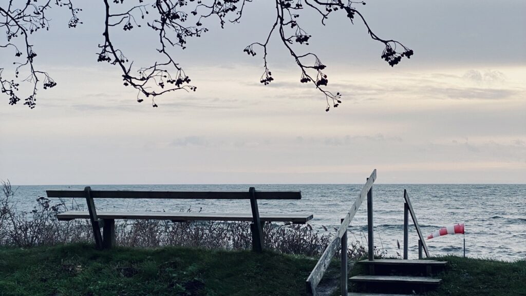 A quiet seaside bench overlooking the ocean at dusk, with bare branches above and wooden steps leading down toward the water.